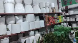 عکس گل سرای باغ بهشت، بعثت ۲۲، قم 5