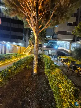 فست فود بایا، فرهنگ شهر، شیراز