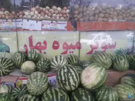 عکس سوپر میوه بهار، باجک سه، قم 2