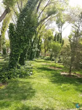 عکس پارک مرداویج؛ بوستان هزارجریب اصفهان 4