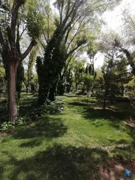 عکس پارک مرداویج؛ بوستان هزارجریب اصفهان 5
