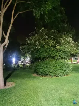 عکس پارک مرداویج؛ بوستان هزارجریب اصفهان 6