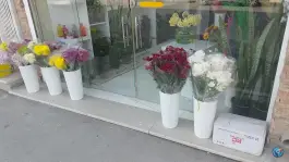 گل فروشی آراس؛ محله میرعماد اصفهان