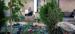 عکس باغچه ریحون، محله طالقانی الیگودرز 5