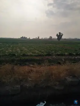 عکس سبزی فروشی بهروزی، باجک ۲، قم 2