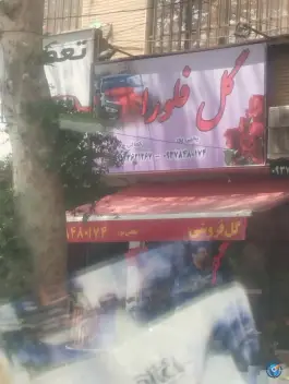 عکس شکوفه سرای فلورا، مصباح، کرج 3