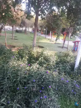 عکس بوستان رجایی، بلوار امام موسی صدر، قم 10