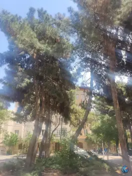 عکس پارک یاس، بلوار گلزار غربی کرج 3