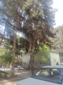 عکس پارک یاس، بلوار گلزار غربی کرج 4