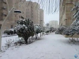 عکس شهرک مسکونی دانشگاه، محمدشهر کرج 9