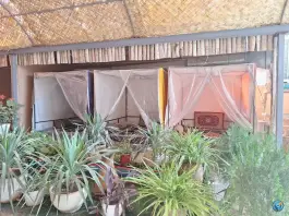 عکس مجموعه غذایی بلوط، زیتون ۱۲، شهرک گلها، شیراز 3