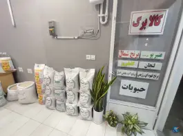 عکس برنج شالیزار فراتی، محله شیخ اشراق اصفهان 3