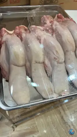 عکس هایپر گوشت پرتو، میدان پلیس، قم 3