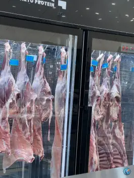 عکس هایپر گوشت پرتو، میدان پلیس، قم 6