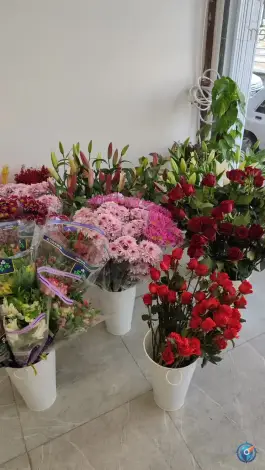 عکس گلفروشی وینا، رسالت، قم 2