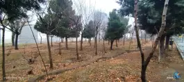 عکس پارک شهرک کوثر کرج 4