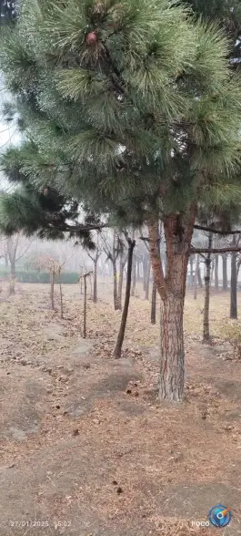 عکس پارک شهرک کوثر کرج 5