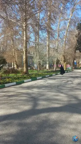 عکس بیمارستان امام رضا، ده دی، مشهد 9