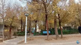 عکس بوستان زنگارکی، محله نیروگاه، قم 7