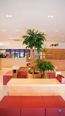 عکس آبی بی، بلوار دکتر شریعتی، شیراز 6