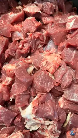 عکس جیگرکی مزه، کمربندی خاتم انبیا، شیروان 3