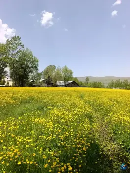 عکس های عمارت سما، خورگام، رودبار