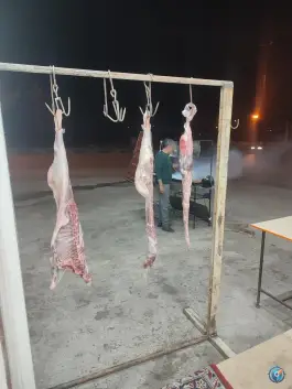 عکس جگرسرای خالو ممو، حیدری، کرمانشاه 2
