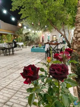 عکس خانه دیدار طبس، بلوار امام خمینی 5