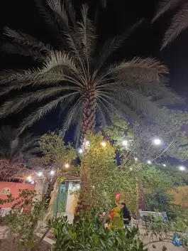 عکس خانه دیدار طبس، بلوار امام خمینی 7