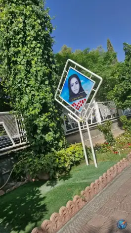 عکس دانشگاه علوم پزشکی شیراز، بلوار کریمخان زند، شیراز 6