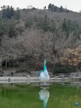 عکس آبشار کوهسنگی مشهد 7