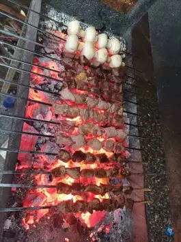 عکس کبابی نوبهار رضامحله کلاچای 5