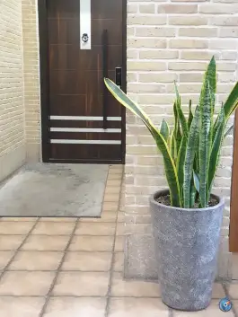 عکس عمارت هفت دری، محله شاهچراغ، شیراز 6