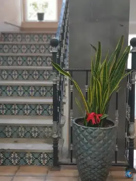 عکس عمارت هفت دری، محله شاهچراغ، شیراز 9