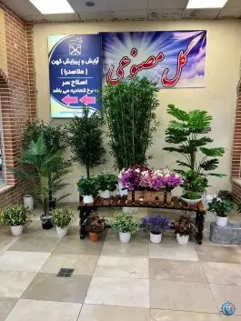 عکس گل مصنوعی شهرزاد در رسالت کرج 9