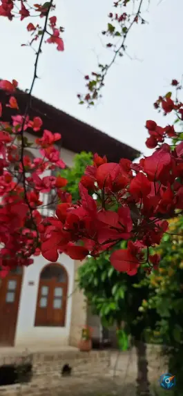 عکس مدرسه قجری تقوی ها، محله نعلبندان، گرگان 4