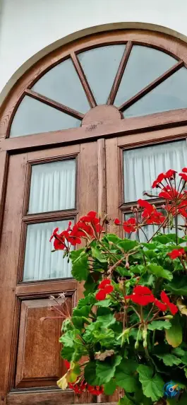 عکس مدرسه قجری تقوی ها، محله نعلبندان، گرگان 6
