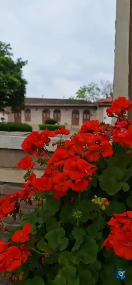 عکس مدرسه قجری تقوی ها، محله نعلبندان، گرگان 7