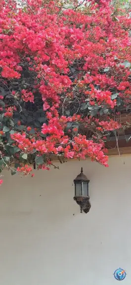 عکس مدرسه قجری تقوی ها، محله نعلبندان، گرگان 9