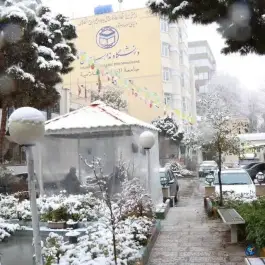 عکس دانشگاه بین المللی مذاهب اسلامی، فلسطین جنوبی، تهران 3