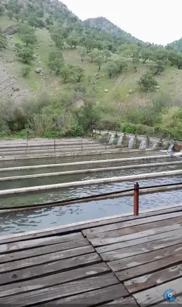 عکس کافه رستوران زاگرس، بدره 3