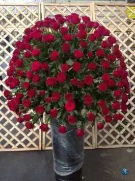 عکس گل خانزاده شعبه اول، بلوار طالقانی شمالی، کرج 2