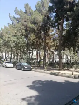 عکس پارک کاج، دهقان ویلا، کرج 2