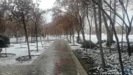 عکس پارک قلمستان؛ محله مارون، اصفهان 2
