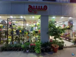 عکس های گل فروشی گل مسیح، نظر غربی اصفهان