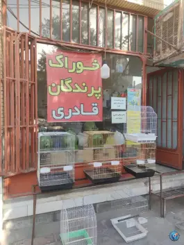 عکس دان فروشی قادری، محله زنبیل آباد قم 4