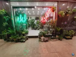 گل لی لی، زنبیل آباد، قم