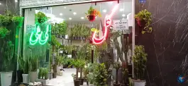 عکس گل لی لی، زنبیل آباد، قم 2