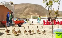 عکس هتل نمکی و مزرعه گردشگری خورشید، دماوند 2