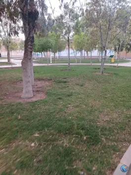 عکس بوستان فدک، محله شیخ آباد قم 2